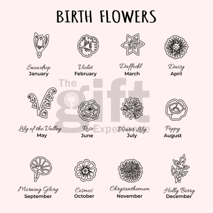Personalised Birth Flower Family Link Necklace product image