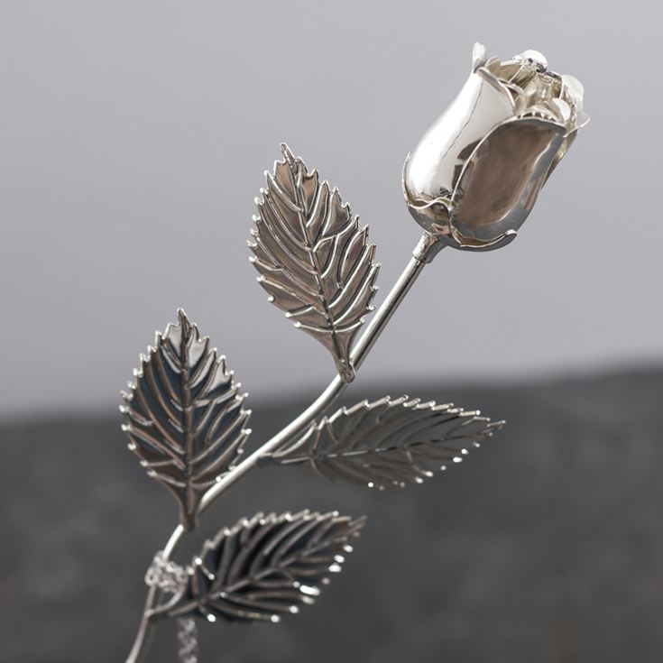 Personalised Silver Plated Rose product image