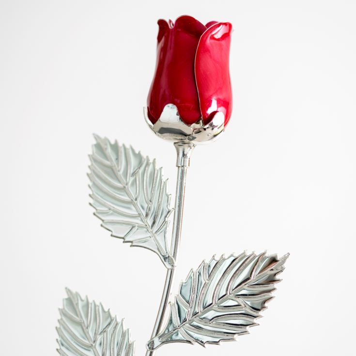 Personalised Silver Plated Rose With Red Bud product image