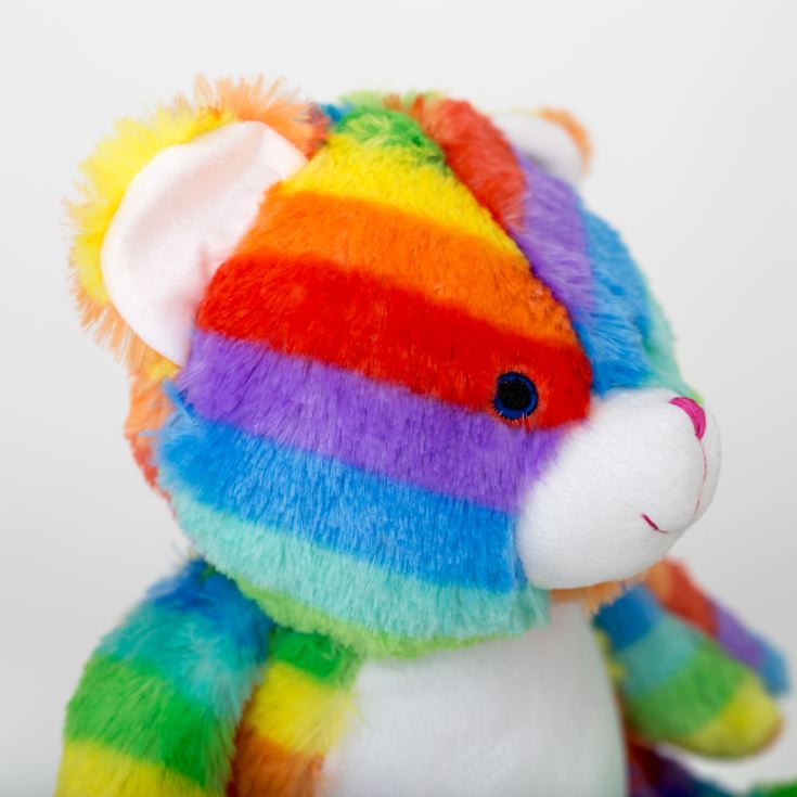 Personalised Embroidered Rainbow Bear Soft Toy product image