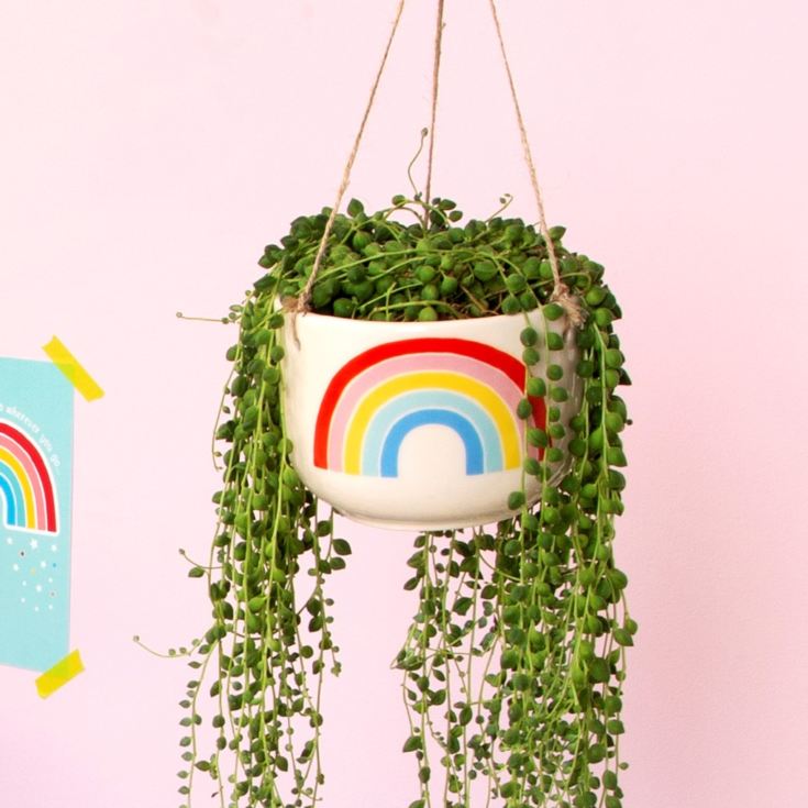 Chasing Rainbows Hanging Planter product image