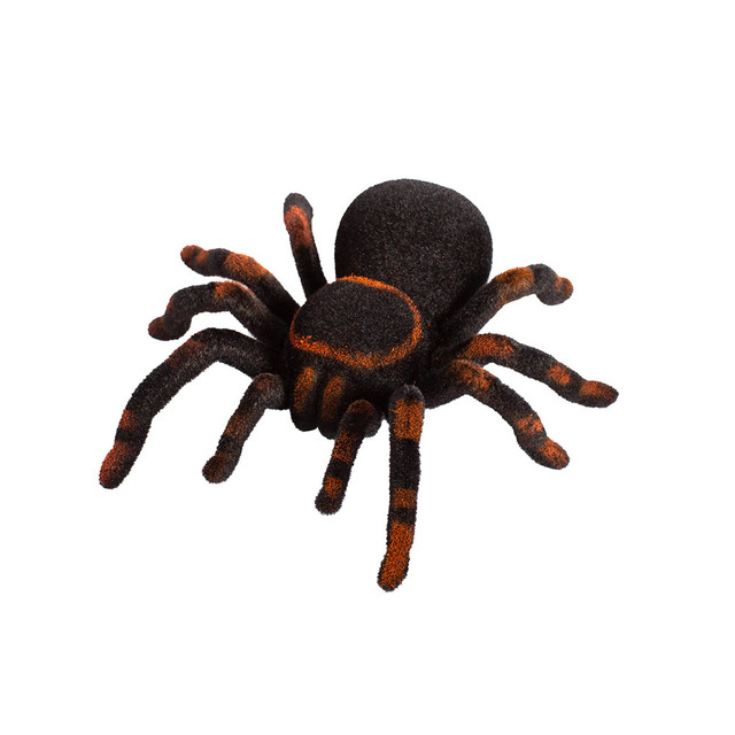 Remote Control Tarantula product image