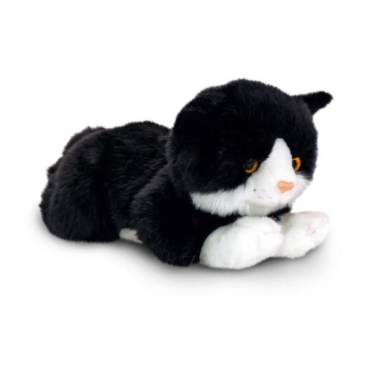 Black and White Cat The Gift Experience
