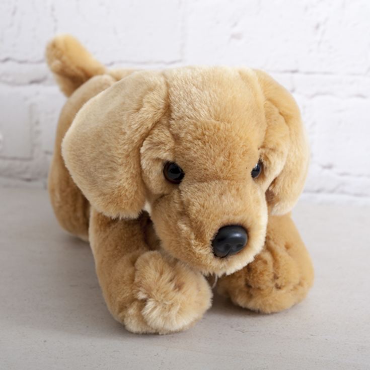 Honey Labrador Soft Toy The Gift Experience