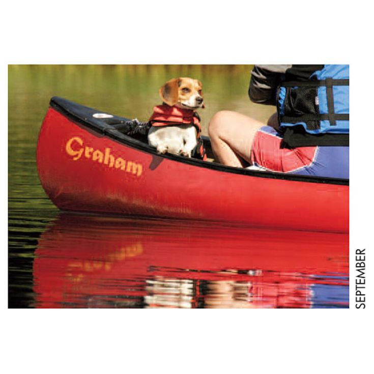 Personalised Dog Calendar product image