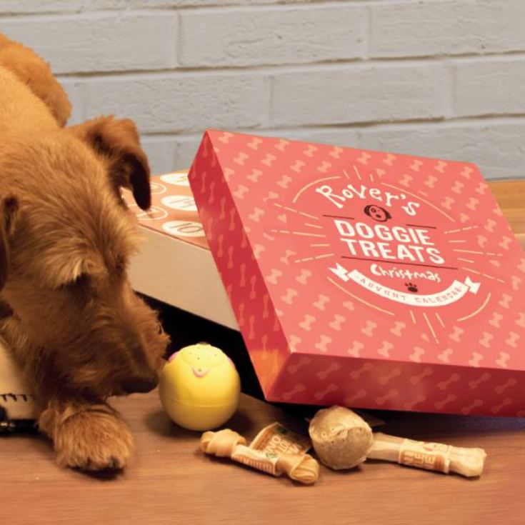 Personalised Dog Treats Advent Calendar The Gift Experience