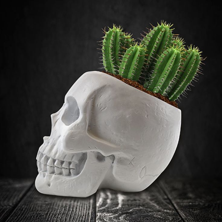 Skull Planter Kit product image