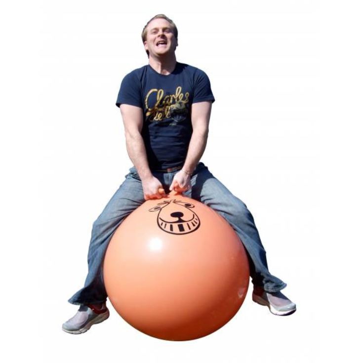 Retro Space Hopper product image