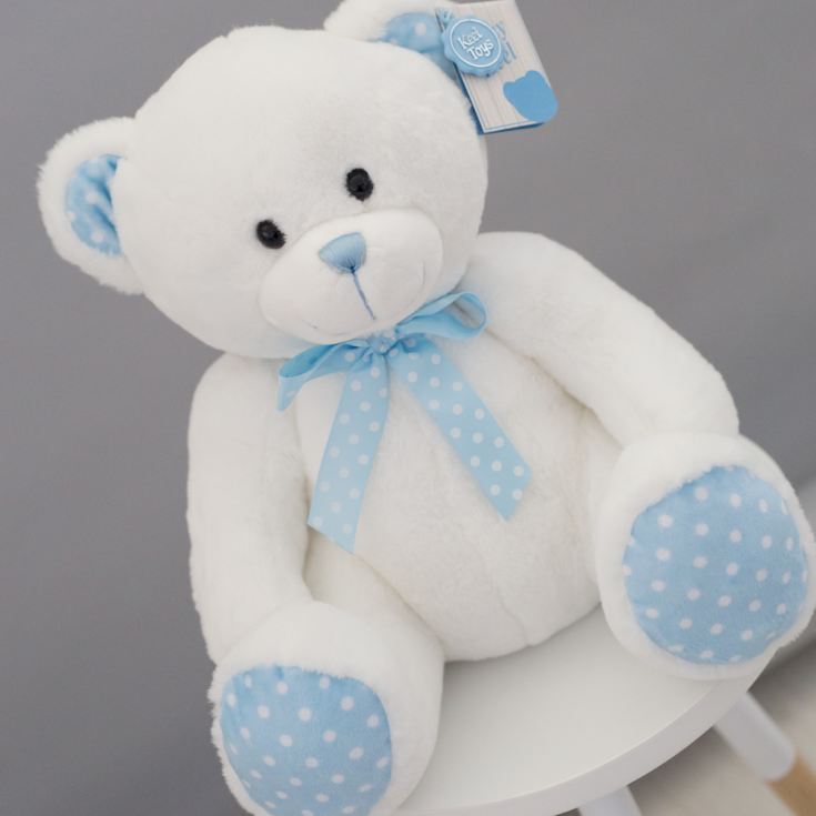 Baby Boy Teddy Bear Soft Toy The Gift Experience