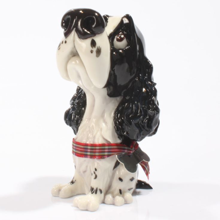 Personalised Pooch - Springer Spaniel product image