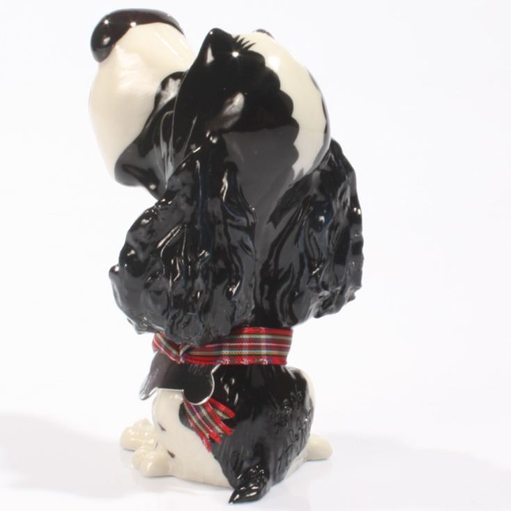 Personalised Pooch - Springer Spaniel product image