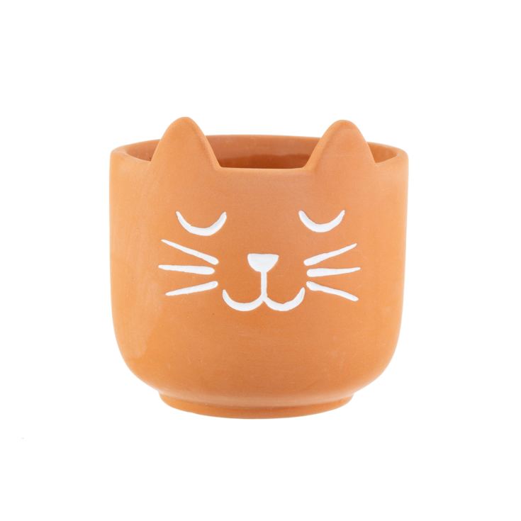 Mini Cat's Whiskers Terracotta Planter product image