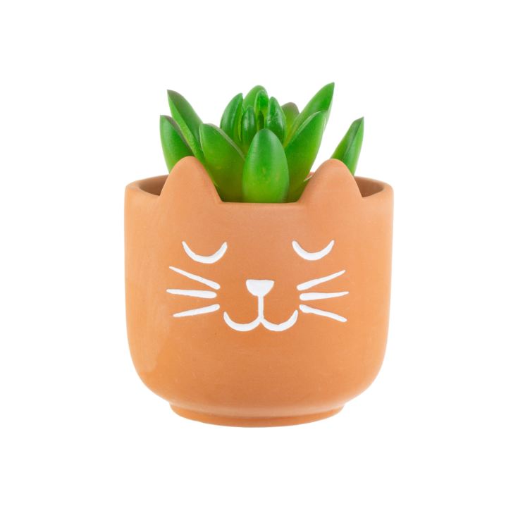 Mini Cat's Whiskers Terracotta Planter product image
