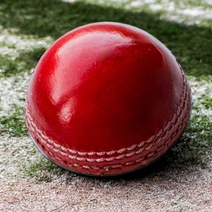 Half Cricket Ball Bottle Opener product image