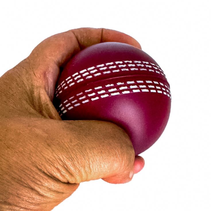 Cricket Ball Squeezy Stress Ball product image