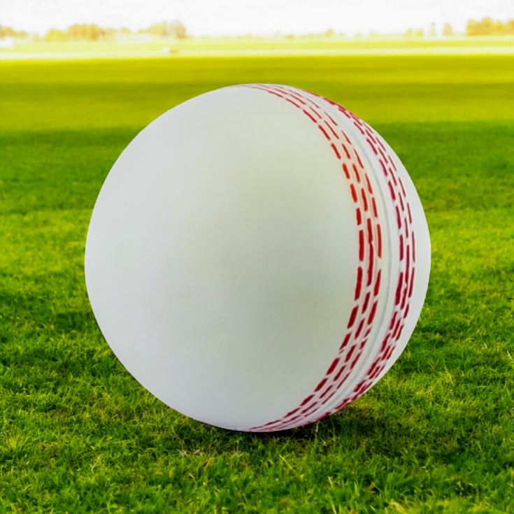 White Cricket Ball Squeezy Stress Ball product image