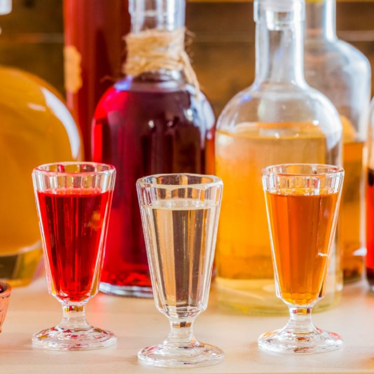 Vineyard & Distillery Tours & Tastings product image