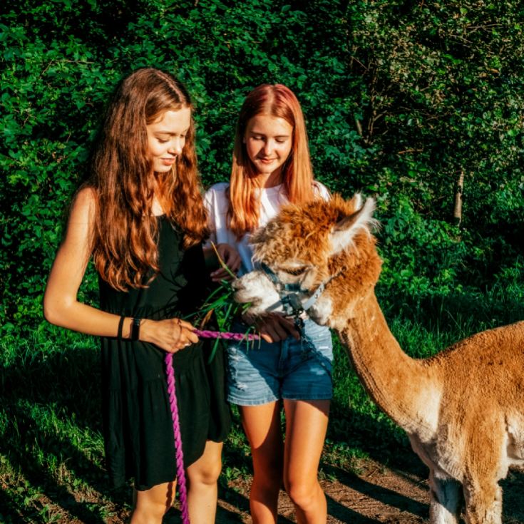 Fun Family Days Out product image