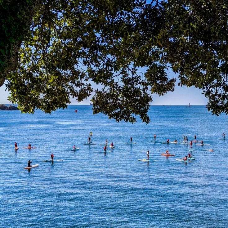 Standup Paddleboarding Lesson Experience product image