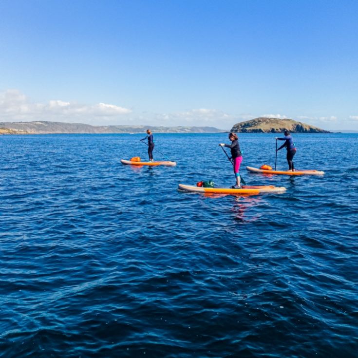 Standup Paddleboarding Lesson Experience product image