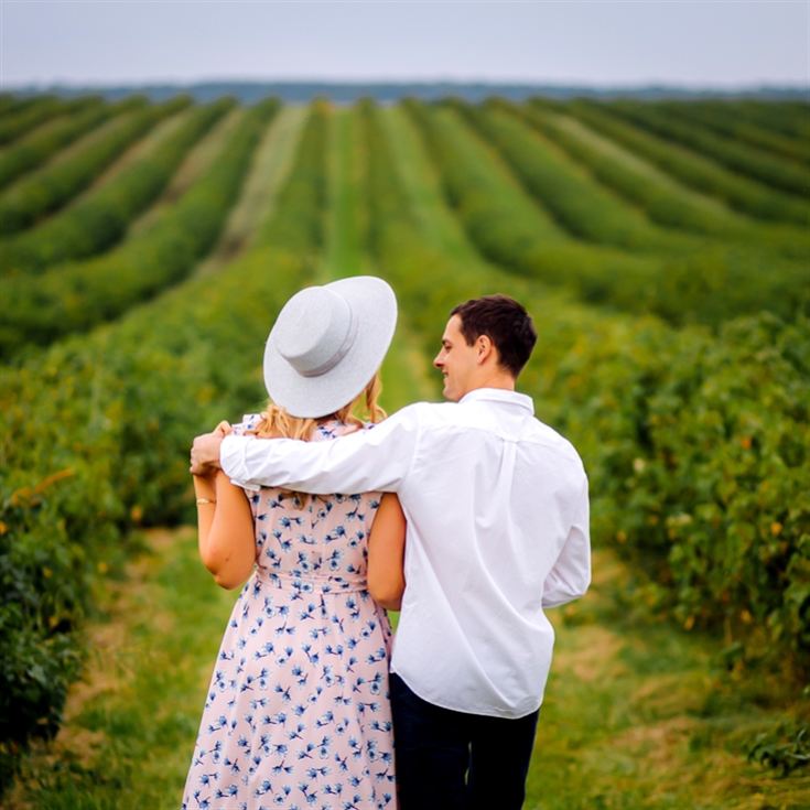 Tour and Tasting for Two at The Velfrey Vineyard product image