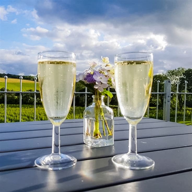 Tour and Tasting for Two at The Velfrey Vineyard product image