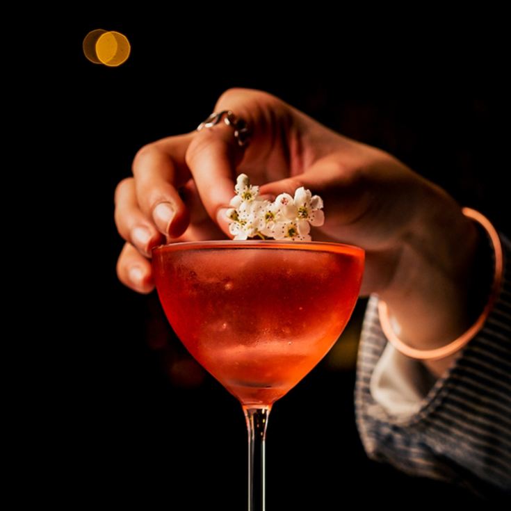 Cocktails and Nibbles at Map Maison product image