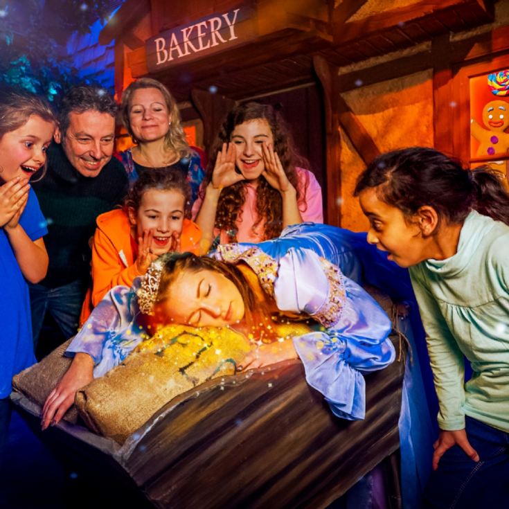 Family Entrance to Shrek's Adventure! London & Lunch at Las Iguanas product image