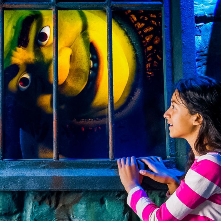 Family Entrance to Shrek's Adventure! London & Lunch at Las Iguanas product image