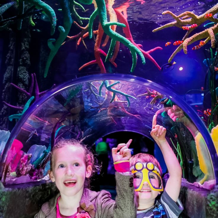 Family Entrance to SEA LIFE London Aquarium & Meal at Las Iguanas product image