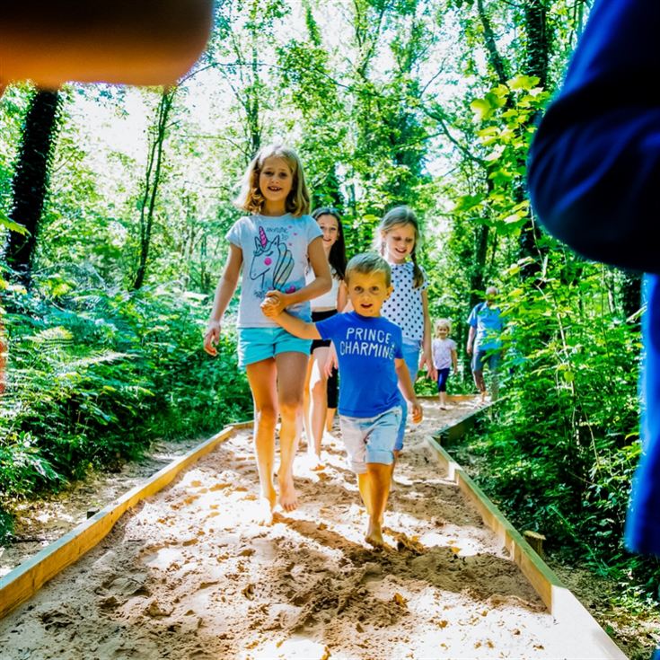 Entry to GreenWood Family Park for two adults & two children product image