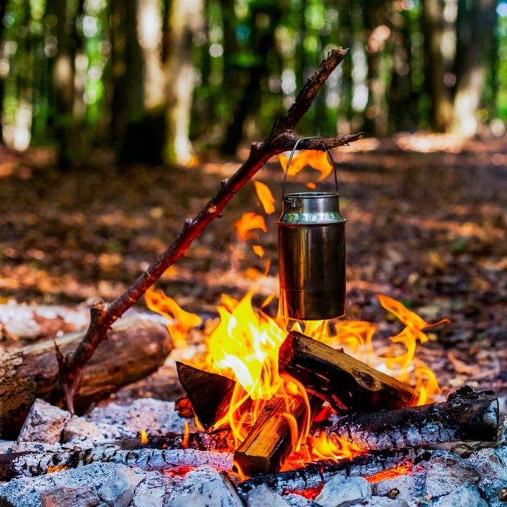 Introduction to Bushcraft product image