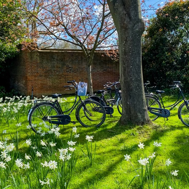 Windsor Castle Bike Tour for Two product image