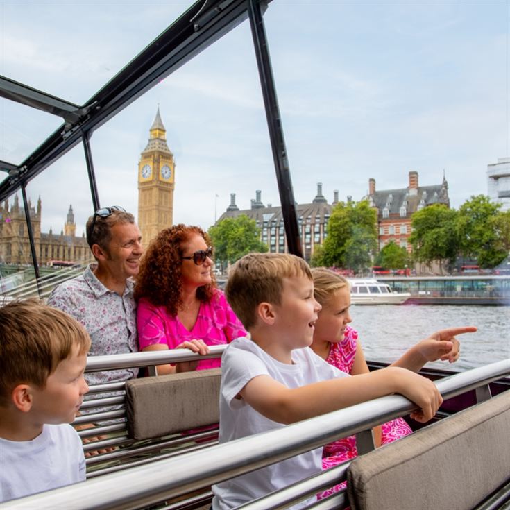 Royal Museum Greenwich, Cream Tea and Hop on Hop off Boat for Two product image