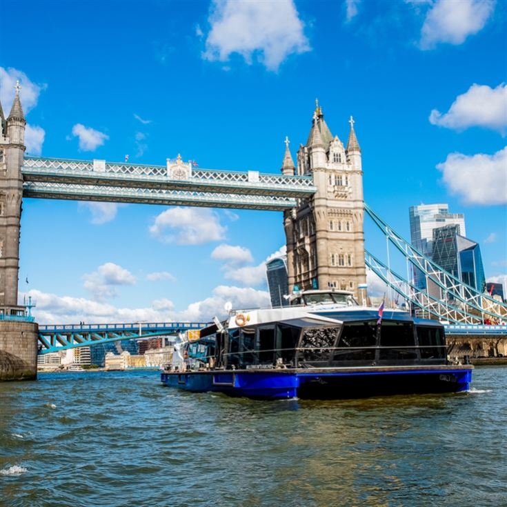Royal Museum Greenwich, Cream Tea and Hop on Hop off Boat for Two product image