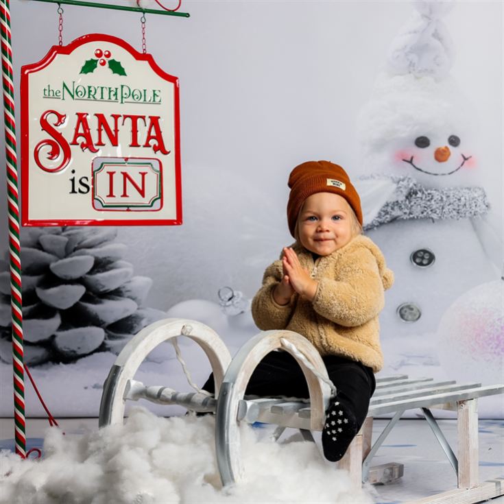 Christmas Mini Photoshoot product image