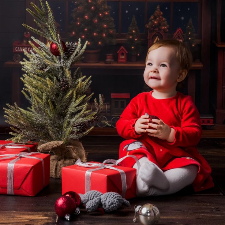 Christmas Mini Photoshoot product image