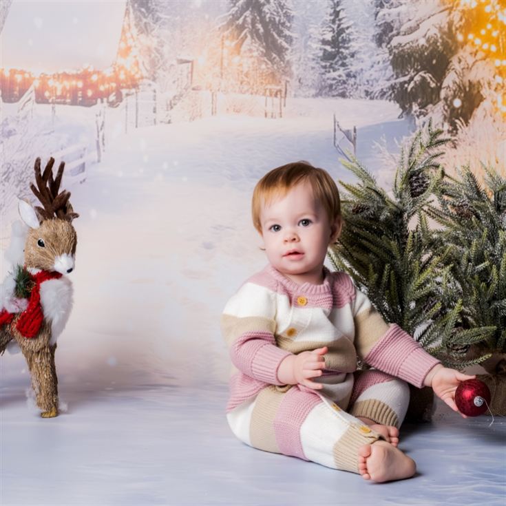 Christmas Mini Photoshoot product image