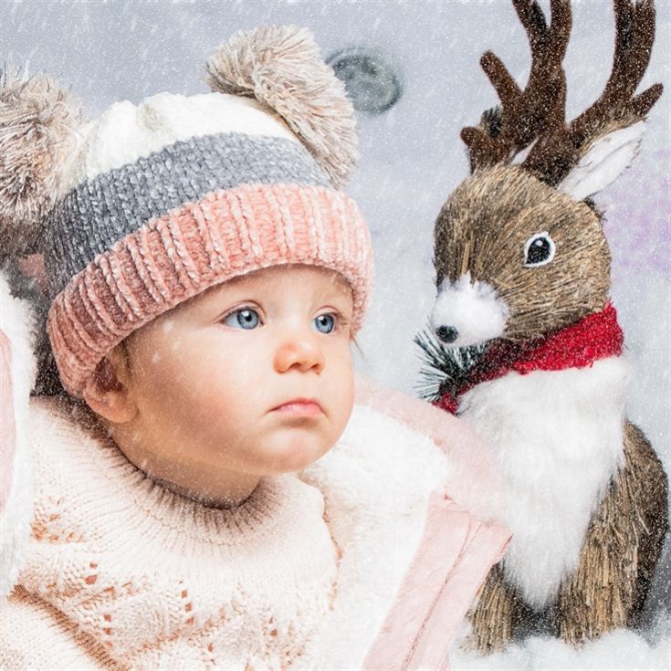 Christmas Mini Photoshoot product image