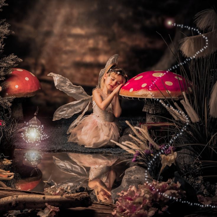 Enchanted Fairy & Elf Photoshoot product image