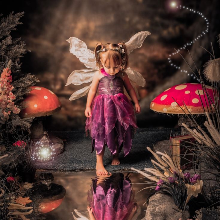 Enchanted Fairy & Elf Photoshoot product image