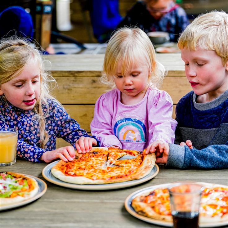 Family Day Out at Blenheim Palace & Lunch product image