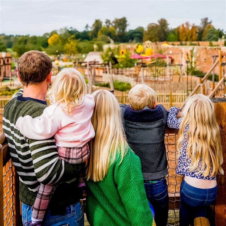 Family Day Out at Blenheim Palace & Lunch product image