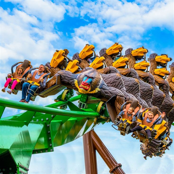One Day Entrance to Chessington World of Adventures Resort for Two product image