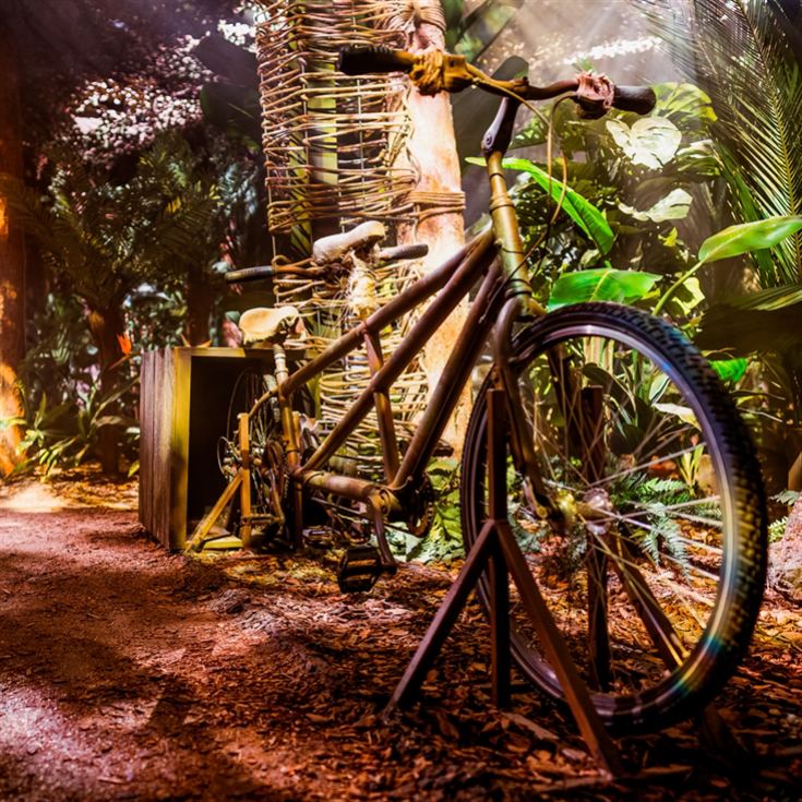 Entrance to The Paddington Bear™ Experience & Lunch product image