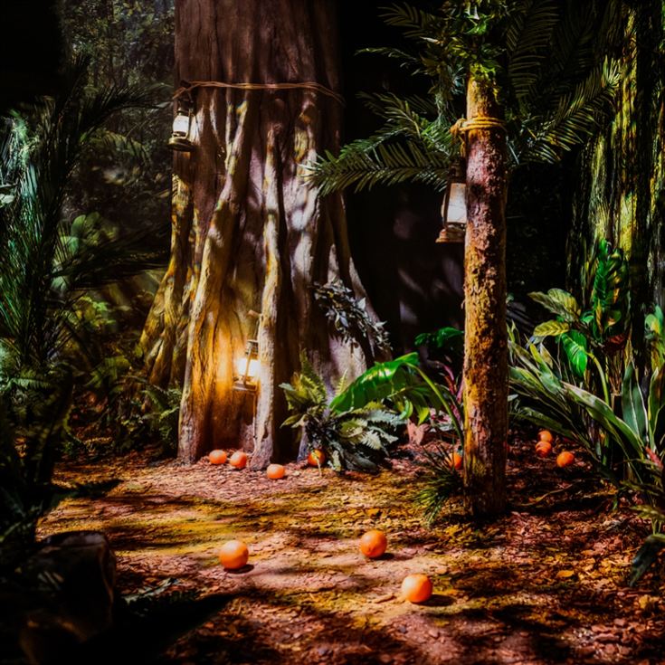 Entrance to The Paddington Bear™ Experience & Lunch product image