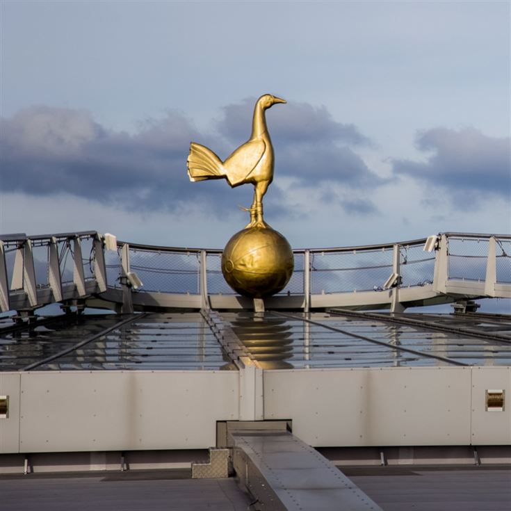 Tottenham Hotspur Stadium The Dare Skywalk for Two product image