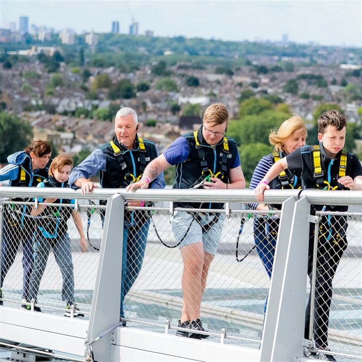 Tottenham Hotspur Stadium The Dare Skywalk for Two product image