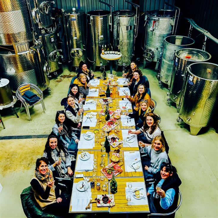 Vineyard Tour and Tasting at Chafor Wine Estate product image