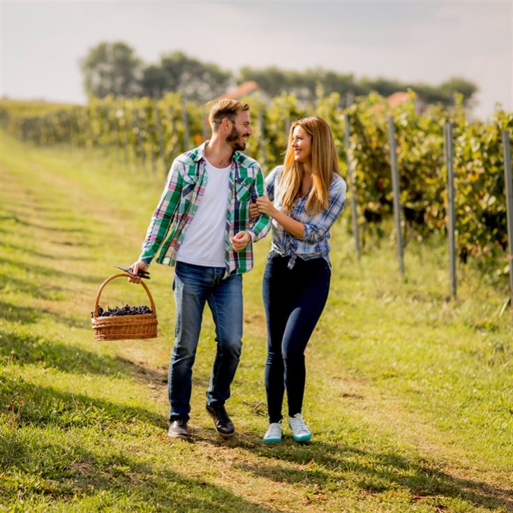 Hand-Picked Guided Tours product image